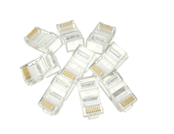 8P/8C Plug (RJ45 Cat6)