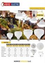 HOROZ TORCH AMPUL CRYSTAL SERİSİ 50W SARI IŞIK - Thumbnail
